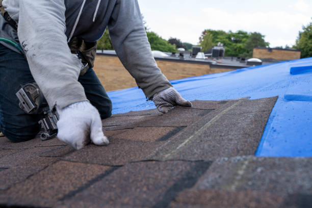 Best Shingle Roofing Installation  in Guin, AL